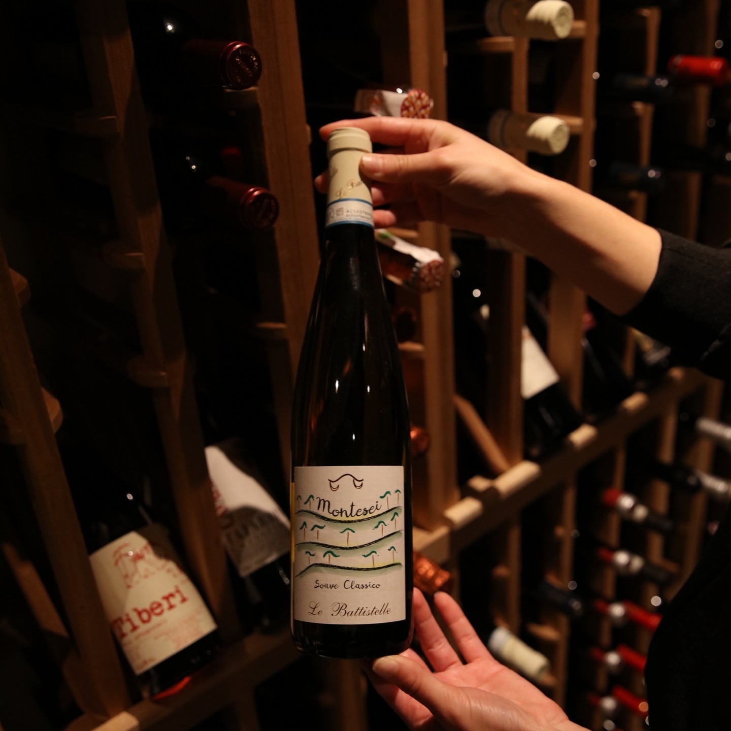 Cave à vins de Stellina